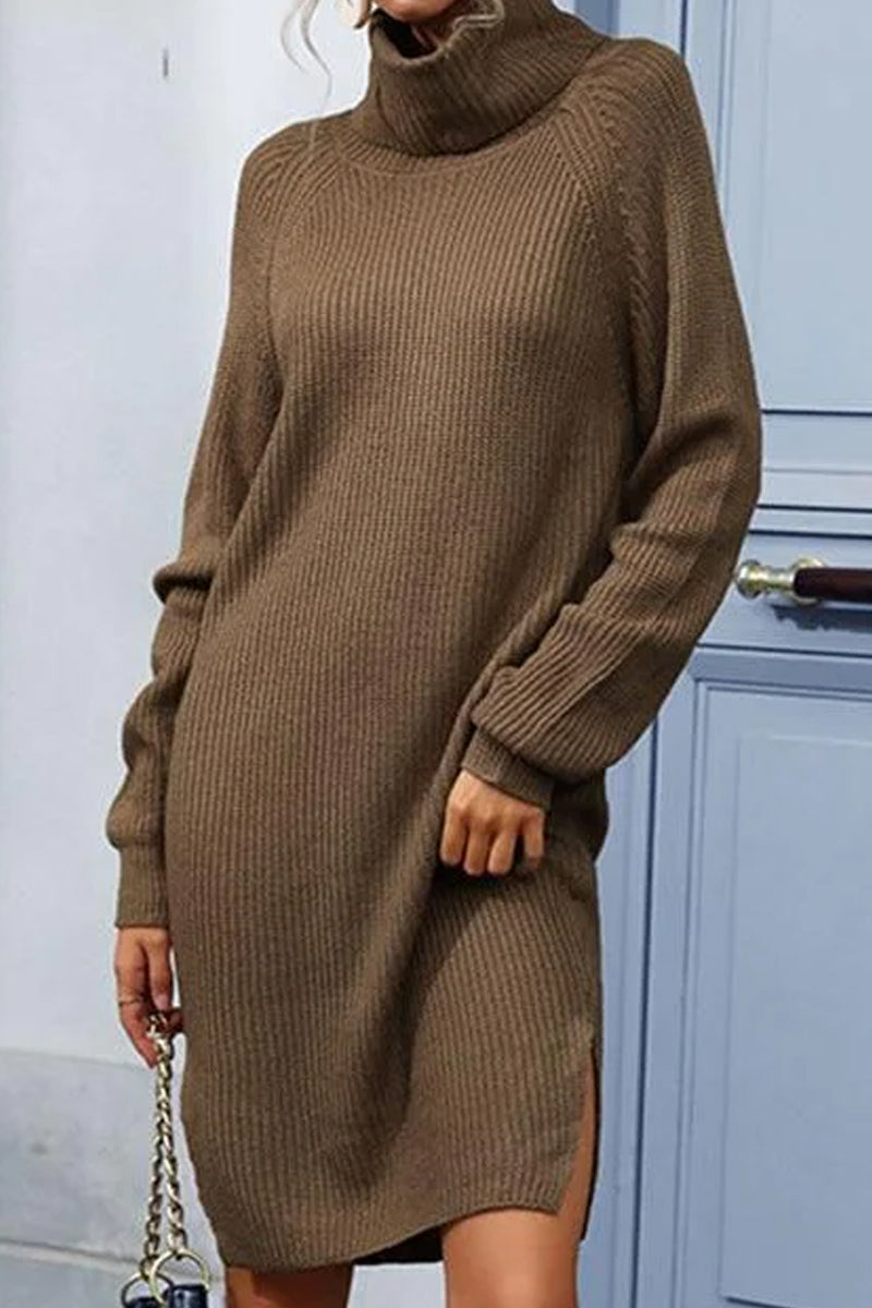 KNITTED TURTLE NECK CASUAL DRESS