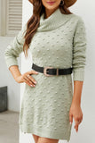 RIBBED HIGH TURTLE NECK SWISS DOT KNIT DRESS