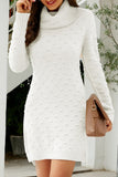 RIBBED HIGH TURTLE NECK SWISS DOT KNIT DRESS