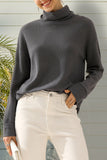 TURTLE HIGH NECK SWEATER KNIT TOP