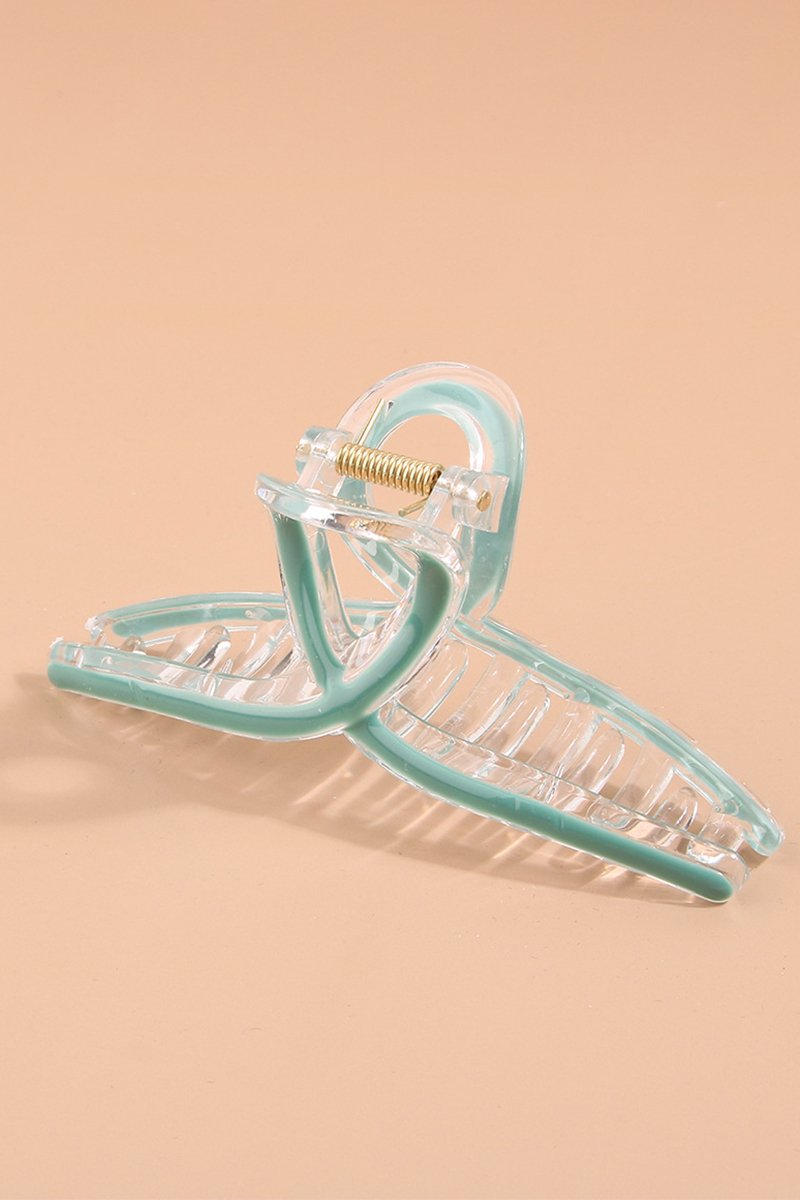 COLOR LINED CLEAR DAILY HAIR CLAW