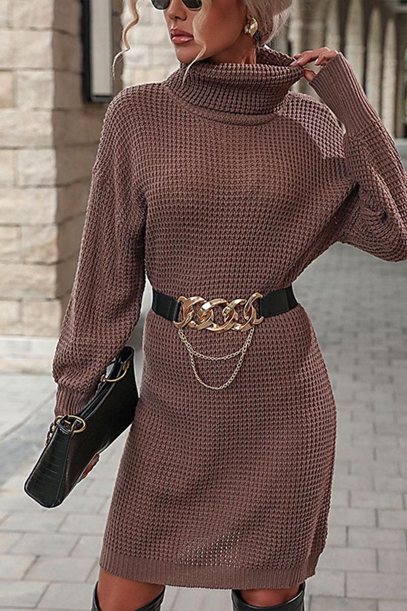 LONG SLEEVE TURTLE NECK KNIT DRESS - Doublju