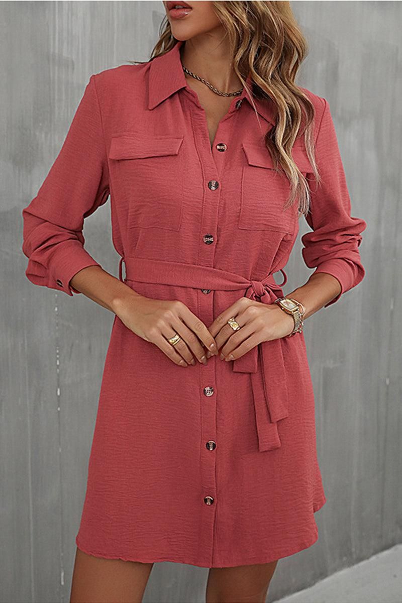 BUTTON DOWN DANDY SHIRTS DRESS - Doublju