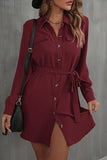 BUTTON DOWN DANDY SHIRTS DRESS - Doublju