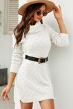 RIBBED HIGH TURTLE NECK SWISS DOT KNIT DRESS