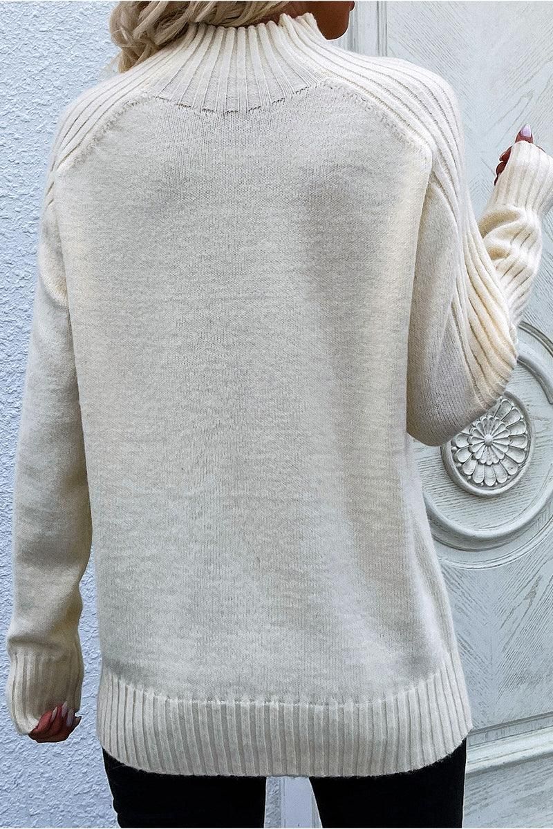 TURTLE NECK LONG SLEEVE CASUAL SWEATER - Doublju