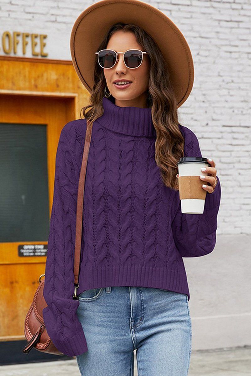 WOMEN TWIST CHUNKY CABLE KNIT TURTLE NECK SWEATER