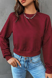 WOMEN CREWNECK SHORT LENGTH JUMPER TOP