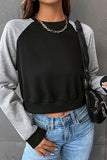 WOMEN COLOR BLOCK SLEEVED CROP DAILY T SHIRT