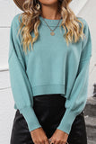 WOMEN RIBBED HEM FITTED SLEEVE KNIT JUMPER TOP