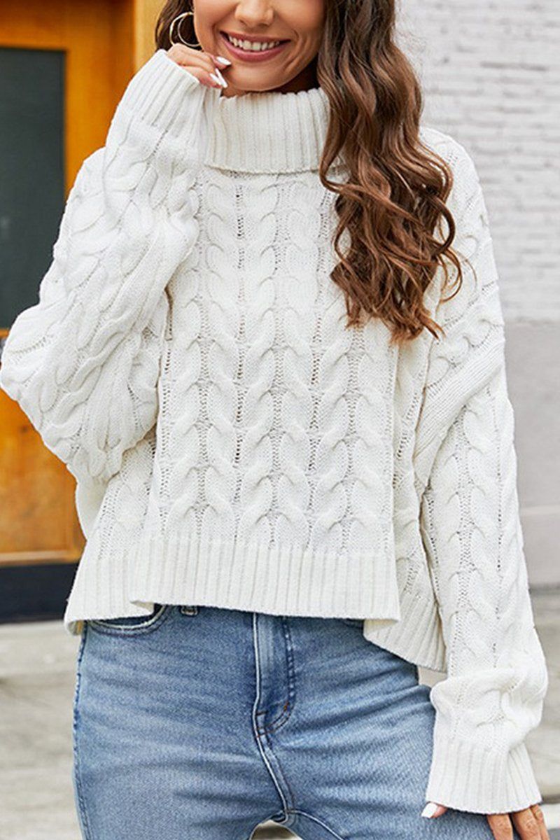WOMEN TWIST CHUNKY CABLE KNIT TURTLE NECK SWEATER